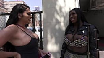 Ebony Mystique