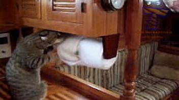 Funny hairy pussy