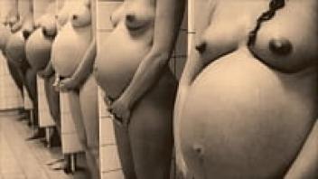 Dark Lantern Entertainment's Vintage Pregnant Beauty features My Secret Life, an English gentleman's diary from the 19th century.
